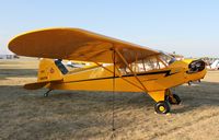N3617N @ KOSH - Piper J3C-65 - by Mark Pasqualino