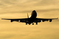 G-BNLE @ EGLL - G-BNLE @ EGLL