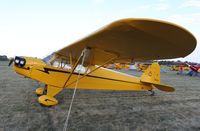 N3502K @ KOSH - Piper J3C-65 - by Mark Pasqualino