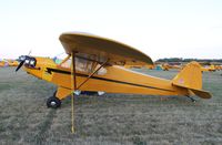 C-FBYO @ KOSH - Piper J3C-65 - by Mark Pasqualino