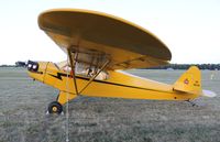 N88219 @ KOSH - Piper J3C-65