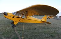 N1568N @ KOSH - Piper J3C-65 - by Mark Pasqualino