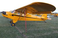N87784 @ KOSH - Piper J3C-65 - by Mark Pasqualino