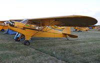 N88431 @ KOSH - Piper J3C-65 - by Mark Pasqualino