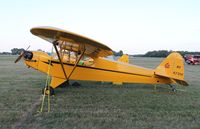 N6731H @ KOSH - Piper J3C-65 - by Mark Pasqualino