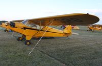 N70528 @ KOSH - Piper J3C-65 - by Mark Pasqualino