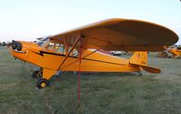 N3921B @ KOSH - Piper J3C-65 - by Mark Pasqualino
