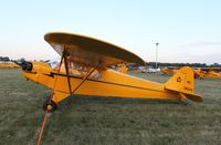 N38524 @ KOSH - Piper J3C-65 - by Mark Pasqualino