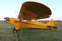 N42129 @ KOSH - Piper J3C-65 - by Mark Pasqualino
