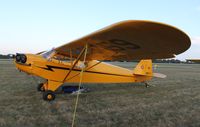 N98459 @ KOSH - Piper J3C-65 - by Mark Pasqualino