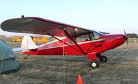 N4259M @ KOSH - Piper PA-12 - by Mark Pasqualino