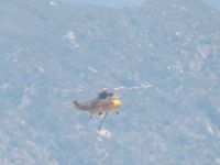 N611CK @ POC - 2+ miles out returning from the Williams Fire - by Helicopterfriend