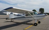 N4599C @ KAXN - Cessna 170B on the line. - by Kreg Anderson