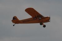 N5031H @ OSH - 1949 Piper PA-11, c/n: 11-911 - by Timothy Aanerud