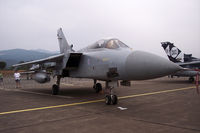 ZE810 @ LFKS - Airshow 2007
note the Remove before flight in italian on the nose - by BTT