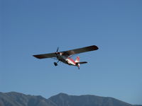 N50380 @ SZP - 1979 Bellanca 7ECA CITABRIA, Lycoming O-235 115 Hp, takeoff climb Rwy 22 - by Doug Robertson