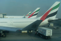 A6-EAA @ OMDB - Emirates Airbus A330 - by Thomas Ranner