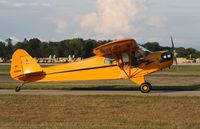 N98600 @ KOSH - Piper J3C-65 - by Mark Pasqualino