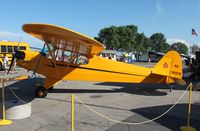 N3650K @ KOSH - Piper J3C-65 - by Mark Pasqualino