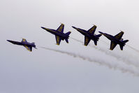 163451 - Seattle SeaFair 2010 - by Terry Green
