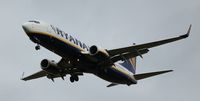 EI-ESX photo, click to enlarge EI-ESX photo, click to enlarge