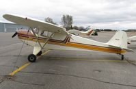 N43710 @ KAXN - Taylorcraft BC12-D on the line. - by Kreg Anderson