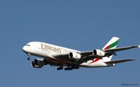 A6-EDM - Landing at JFK - by gbmax