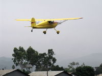 N140BL photo, click to enlarge