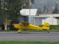 N140BL photo, click to enlarge