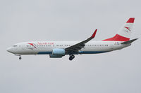 OE-LNR @ LOWW - Austrian (Tyrolean) Boeing 737 - by Thomas Ranner