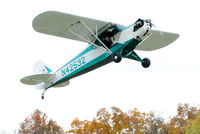 N42532 @ 8N1 - Photographed at Golden Age Air Museum's Great Pumpkin Fly-In. - by Carl Hess