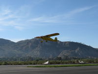 N140BL photo, click to enlarge