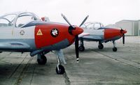 N52571 - Original with copy Cat paint ormond beach. - by A. v. Gyongyossy