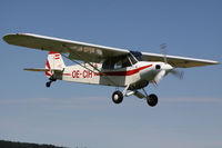 OE-CIH @ LOAB - Piper PA18