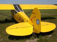F-BFQN @ LFCD - aéroclub Paul Tissandier - by Jean Goubet-FRENCHSKY