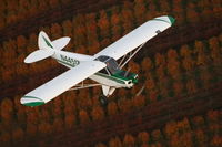 N4451Z - Piper Super Cub - by unknown