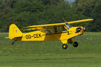 OO-CEK @ EBDT - Piper J-3C-65 Cub [12760] Schaffen-Diest~OO 14/08/2010