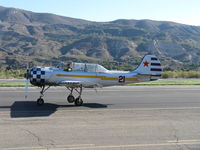 N6294D @ SZP - 1983 Yakovlev YAK 52, Vedeneev (Ivchenko) M-14P 360 Hp radial, taxi back - by Doug Robertson