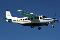 F-OSBM @ SXM - visitor