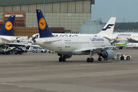 D-AILA photo, click to enlarge