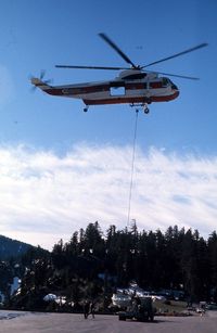N318Y - Taken in the Diamond Lake, Oregon area - by Forest Ranger