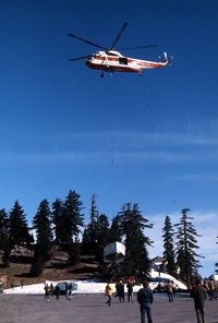 N318Y - Taken in the Diamond Lake, Oregon area - by Forest Ranger