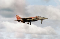 XZ398 @ EGQS - Jaguar GR.1A of 41 Squadron at RAF Coltishall on final approach to Runway 05 at RAF Lossiemouth in September 1993. - by Peter Nicholson