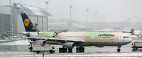 D-AIGO @ EDDL - DUS airport while heavy snow weather