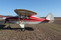N7893D @ KOVS - Piper PA-22-150 - by Mark Pasqualino