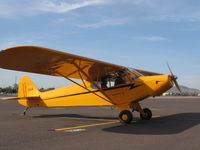 N204SB @ KDVT - Captain Cookie's Cub.  Built at Legend Cub factory over a 4 month span. 500 trouble free hours including flights from PHX to SFO, SEA, GPI.  Awarded First Place Experimental Tube and Fabric Aircraft Cactus Fly-In 2009 - by Stew Bloemer
