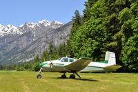 N225TW - N225TW - Stehikan Airport - Washington State - by MTW