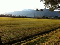 HB-PIJ - Notlandung Locarno - by Lüscher