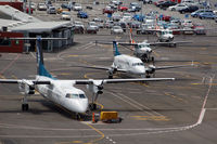 ZK-NEJ @ NZWN - Nice line-up of Air NZ link and Sounds Air aircraft - by Micha Lueck