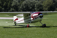 N3081B @ LOGO - Cessna 195 - by Loetsch Andreas